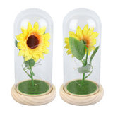Simulation Sunflower Glass Cover Decoration Luminous LED Artificial Eternal Sunflower Glass Dome for Women