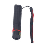 365nm Mini UV Flashlight Black Light USB Rechargeable LED Blacklight Pet Urine Detector for Dog Cat Urine Dry Stains In Australia - Darrahopens