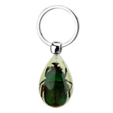 Glowing Insect Keychain Animal Specimens Keychain Resin Collectible Gift for Friends and Family In Australia - Darrahopens