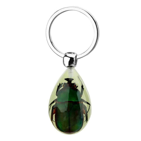 Glowing Insect Keychain Animal Specimens Keychain Resin Collectible Gift for Friends and Family In Australia - Darrahopens