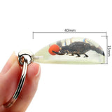 Glowing Insect Keychain Animal Specimens Keychain Resin Collectible Gift for Friends and Family In Australia - Darrahopens