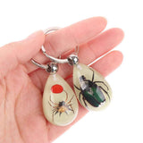 Glowing Insect Keychain Animal Specimens Keychain Resin Collectible Gift for Friends and Family In Australia - Darrahopens