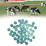 50PCS Numbered Label Numbered Tag for Farm Livestock Beekeeping Husbandry Breeding Supplies51-100 Green