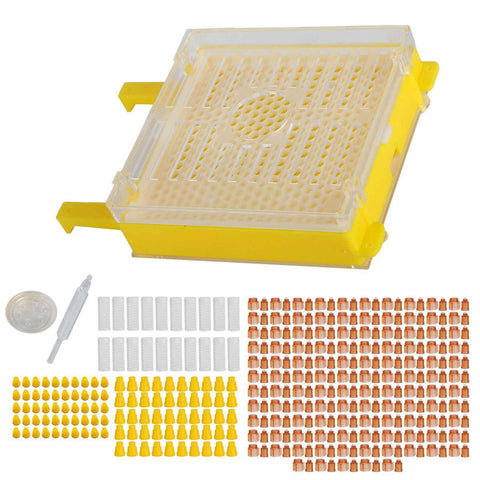 Apiculture System Kit Queen Bee Rearing System Box Beekeeping Box Rearing Grafting Kit In Australia - Darrahopens
