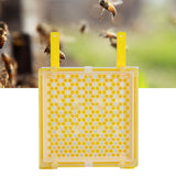 Apiculture System Kit Queen Bee Rearing System Box Beekeeping Box Rearing Grafting Kit