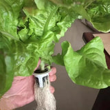 50 Pcs Seedling Block Peat Planting Block for Gardening Hydroponics Soilless Cultivation Plants Germination HRD TN0314