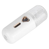 30ml Mini Facial Humidifier Portable Nano Atomization USB Charging Face Mist SprayerWhite