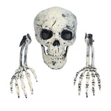 Skeleton Decor Cosplay DIY Multifunctional Lifelike Compact Scary Halloween Skeleton In Australia - Darrahopens