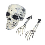Skeleton Decor Cosplay DIY Multifunctional Lifelike Compact Scary Halloween Skeleton