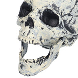 Skeleton Decor Cosplay DIY Multifunctional Lifelike Compact Scary Halloween Skeleton