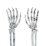 Skeleton Decor Cosplay DIY Multifunctional Lifelike Compact Scary Halloween Skeleton