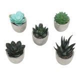 5pcs Artificial Succulent Plants Potted Assorted Mini Decorative Faux Succulent Potted Fake Plants Succulents in Paper Pulp Pot In Australia - Darrahopens