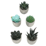 5pcs Artificial Succulent Plants Potted Assorted Mini Decorative Faux Succulent Potted Fake Plants Succulents in Paper Pulp Pot
