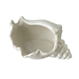White Ceramic Conch Shell Conch Shape Ceramic Jewelry Tray Ocean Style Earrings Necklace Storage Dish Decorative Key Bowl In Australia - Darrahopens