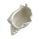 White Ceramic Conch Shell Conch Shape Ceramic Jewelry Tray Ocean Style Earrings Necklace Storage Dish Decorative Key Bowl In Australia - Darrahopens