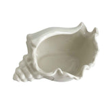 White Ceramic Conch Shell Conch Shape Ceramic Jewelry Tray Ocean Style Earrings Necklace Storage Dish Decorative Key Bowl In Australia - Darrahopens