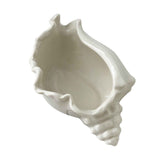 White Ceramic Conch Shell Conch Shape Ceramic Jewelry Tray Ocean Style Earrings Necklace Storage Dish Decorative Key Bowl In Australia - Darrahopens