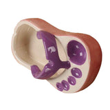 Ceramic French Fries Dish Cute Flip Flops French Fries Plate Cute Ceramic Bowl Flip Flops Shaped Snack Chip Soy Sauce Serving Dish Bowl Plate Purple In Australia - Darrahopens