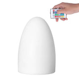 LED Night Light Egg Shaped RGBW Remote Control 16Color Table Lamp for Indoor Home Bar KTV Dining Table In Australia - Darrahopens