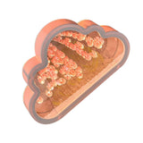 Tulip Cloud Mirror Night Lights 20 Pink Flowers Plastic Built in Batteries DIY Cloud Mirror Tulip Lamp for Birthday Valentine's Day In Australia - Darrahopens