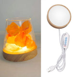 Round Wood Lighted Base Stand USB Powered 3 Color Temperature 10 Level Brightness Button Control LED Display Plate for Glass Crystal Art