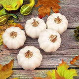 12 Pack Christmas Artificial Pumpkin Sets Made of Foam Simulation Pumpkin Ornament for Autumn Halloween Thanksgiving Decoration In Australia - Darrahopens