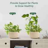 3 Pcs Metal Garden Trellis Climbing Plants Support Indoor Iron Plant Trellis for Ivy Vine Rose Flowers House Plants In Australia - Darrahopens