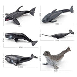 12PCS Mini Sea Toys for Kids Plastic Sea Animals Figurines Simulation Ocean Animals Model Decoration In Australia - Darrahopens