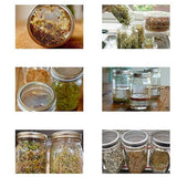 Sprouting Jar With Stainless Steel 304 Screen Lid Wide Mouth Quart Mason Sprouter