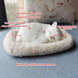 Realistic Sleeping Cat Toy Breathing Cat Stuffed Animal Doll with Mat Plush Toys for Children Home Ornament In Australia - Darrahopens