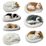 Realistic Sleeping Cat Toy Breathing Cat Stuffed Animal Doll with Mat Plush Toys for Children Home Ornament In Australia - Darrahopens