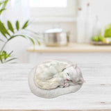 Realistic Sleeping Cat Toy Breathing Cat Stuffed Animal Doll with Mat Plush Toys for Children Home Ornament In Australia - Darrahopens