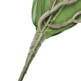 Phalaenopsis Leaves Orchid Leaves Wedding Home Decoration Simulation Plants In Australia - Darrahopens