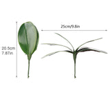 Phalaenopsis Leaves Orchid Leaves Wedding Home Decoration Simulation Plants