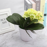 Phalaenopsis Leaves Orchid Leaves Wedding Home Decoration Simulation Plants