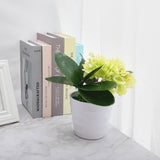 Phalaenopsis Leaves Orchid Leaves Wedding Home Decoration Simulation Plants