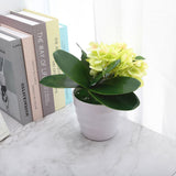 Phalaenopsis Leaves Orchid Leaves Wedding Home Decoration Simulation Plants