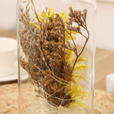 Preserved Flower Glass Dome Artificial Simulation Sunflower with LED Light for Valentine's Day Mother's Day Gift In Australia - Darrahopens