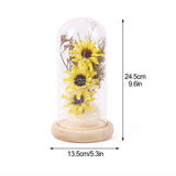 Preserved Flower Glass Dome Artificial Simulation Sunflower with LED Light for Valentine's Day Mother's Day Gift In Australia - Darrahopens