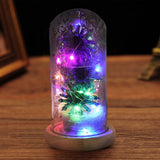 Preserved Flower Glass Dome Artificial Simulation Sunflower with LED Light for Valentine's Day Mother's Day Gift In Australia - Darrahopens