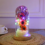 Preserved Flower Glass Dome Artificial Simulation Sunflower with LED Light for Valentine's Day Mother's Day Gift