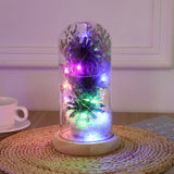 Preserved Flower Glass Dome Artificial Simulation Sunflower with LED Light for Valentine's Day Mother's Day Gift
