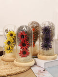 Preserved Flower Glass Dome Artificial Simulation Sunflower with LED Light for Valentine's Day Mother's Day Gift