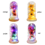 Preserved Flower Glass Dome Artificial Simulation Sunflower with LED Light for Valentine's Day Mother's Day Gift
