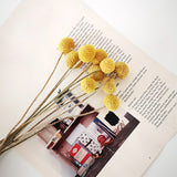 Artificial Dried Pampas Grass Plastic Simulation Reed for Wedding Home Decoration