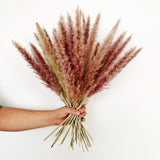 Artificial Dried Pampas Grass Plastic Simulation Reed for Wedding Home Decoration