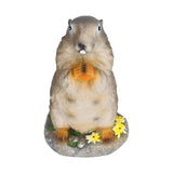 Resin Groundhog Small Ornaments Animal Model Landscape Props Resin Crafts Bonsai Decorations In Australia - Darrahopens