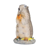 Resin Groundhog Small Ornaments Animal Model Landscape Props Resin Crafts Bonsai Decorations In Australia - Darrahopens