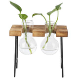 Desktop Glass Planter Wooden Stand Bulb Glass Vase Hydroponics Plant Planter for Home Office Garden2 Bottle