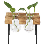 Desktop Glass Planter Wooden Stand Bulb Glass Vase Hydroponics Plant Planter for Home Office Garden2 Bottle